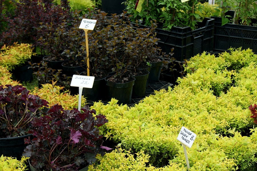 agro-targi-2014-14 - Marcin Maziarz