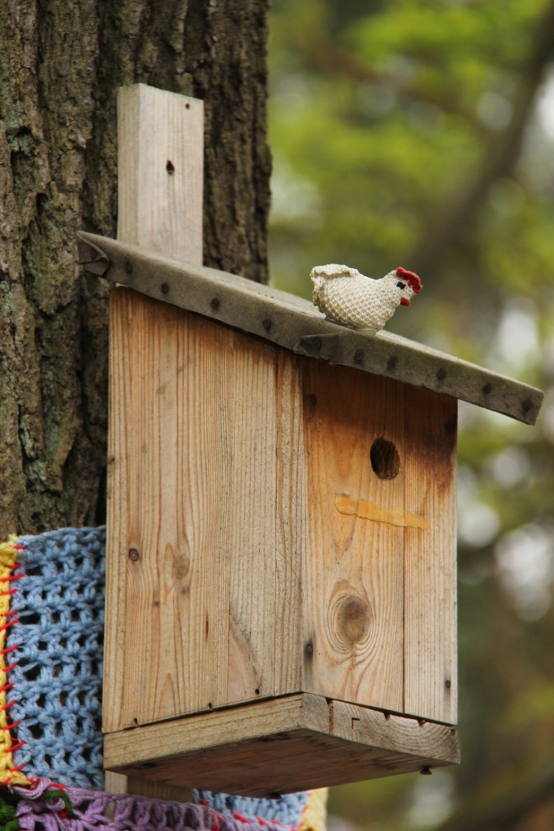 Grzegorz Maciejewski