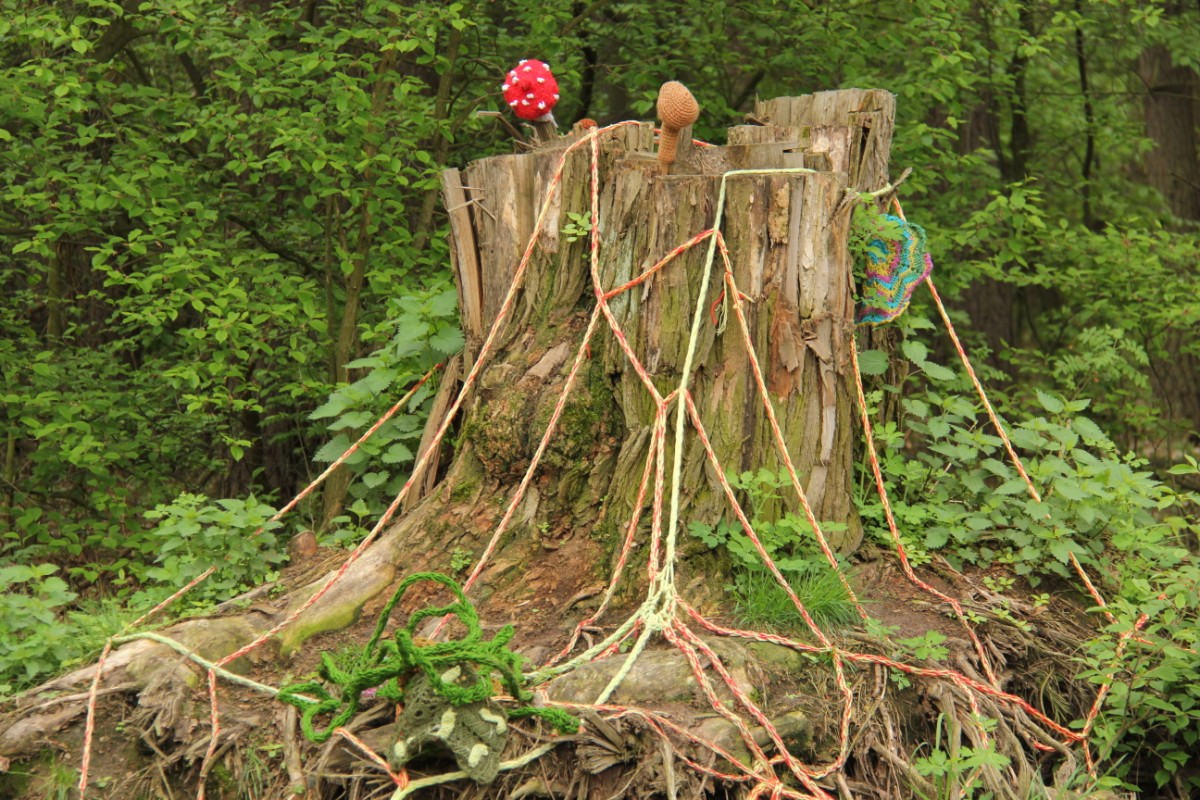 Grzegorz Maciejewski