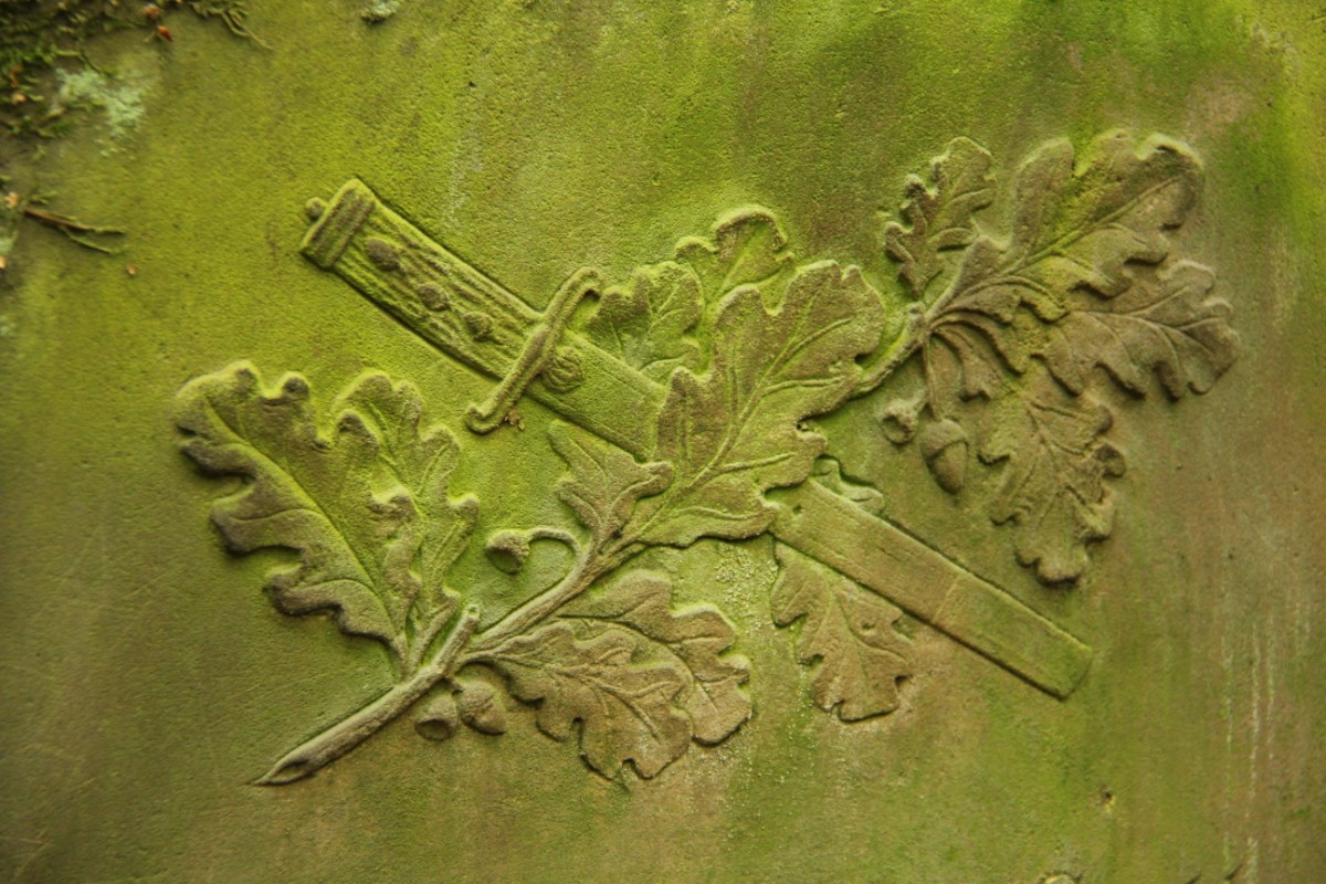 Grzegorz Maciejewski