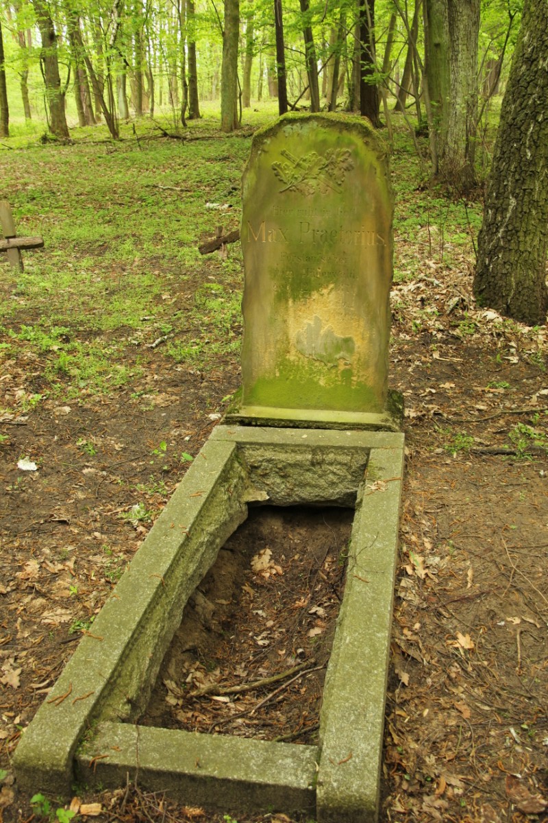 Grzegorz Maciejewski