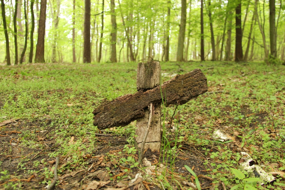 Grzegorz Maciejewski