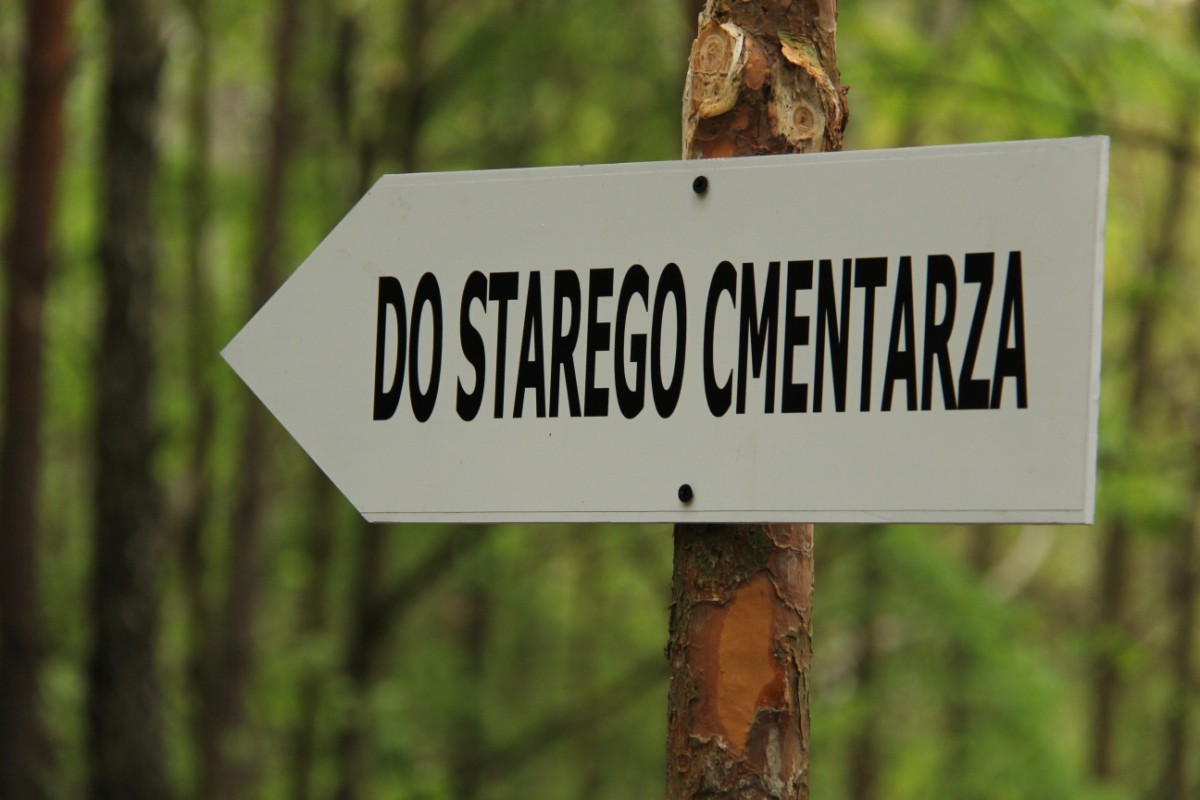 sprzątanie cmentarza biedrusko - Grzegorz Maciejewski