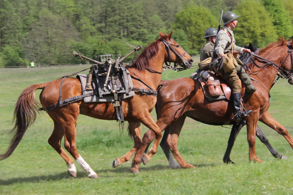 Grzegorz Maciejewski