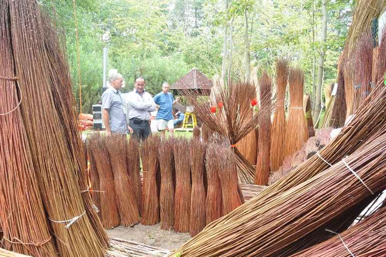 wiklina plecenie - UMiG Nowy Tomyśl