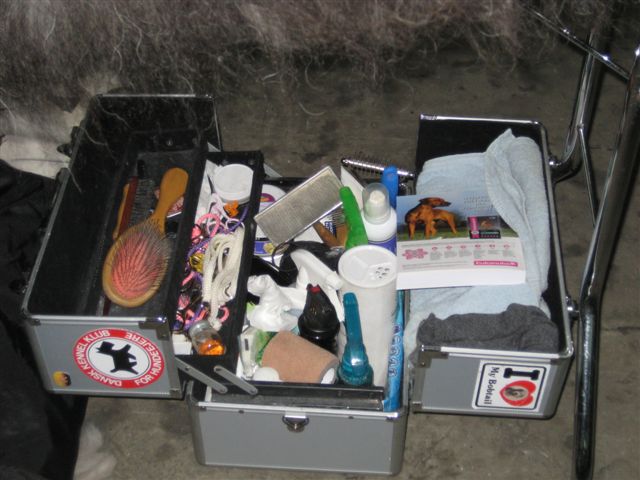 Aleksandra Włodarczyk