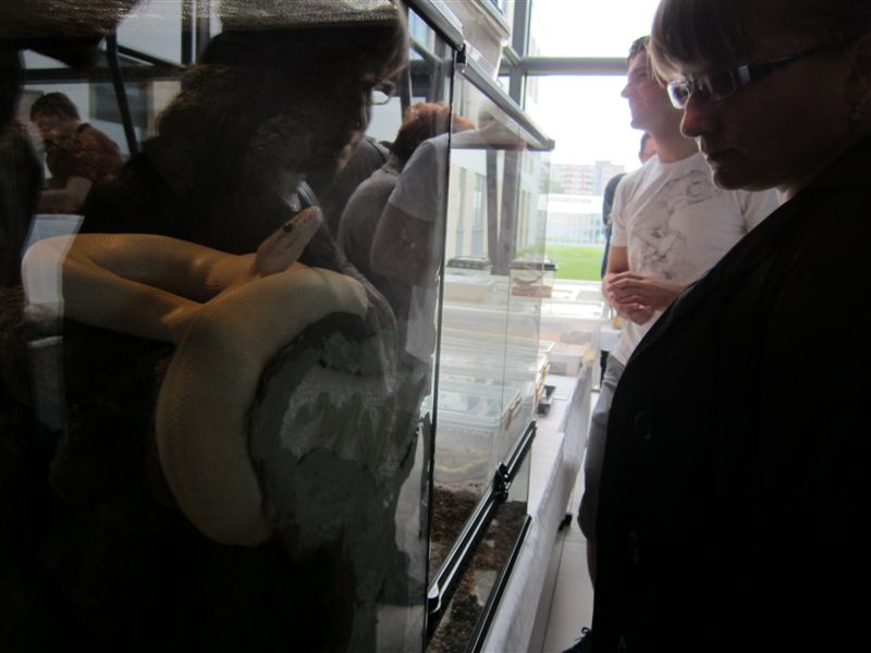 targ zwierzat egzotycznych (2) - Adam Michalkiewicz