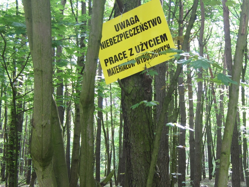 zaminowany las saperzy - Anna Skoczek