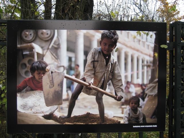 Aleksandra Włodarczyk