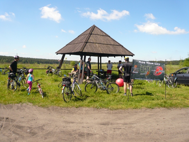 Piotr Niewiarowski, Piotr Niewiarowski jr