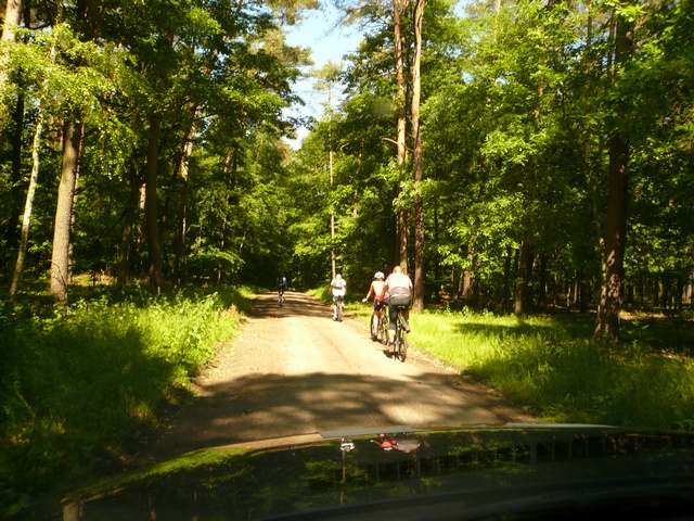 Piotr Niewiarowski, Piotr Niewiarowski jr