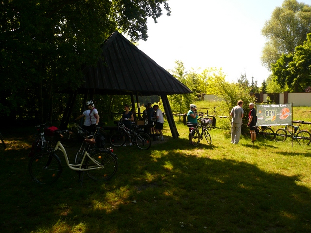 Piotr Niewiarowski, Piotr Niewiarowski jr