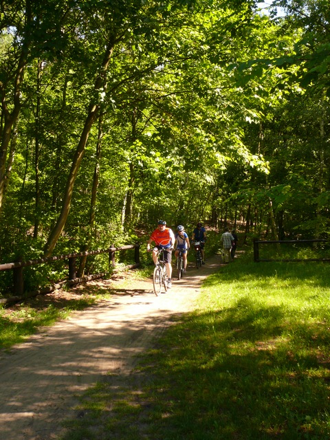 Piotr Niewiarowski, Piotr Niewiarowski jr