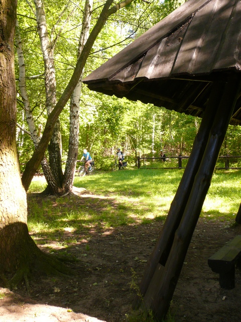 Piotr Niewiarowski, Piotr Niewiarowski jr