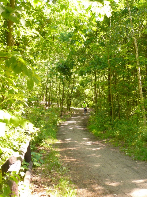 Piotr Niewiarowski, Piotr Niewiarowski jr