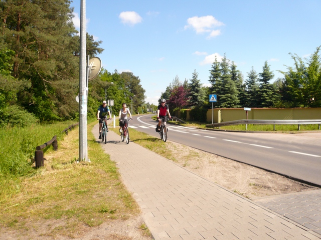 Piotr Niewiarowski, Piotr Niewiarowski jr