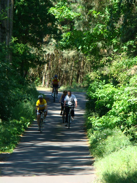 Piotr Niewiarowski, Piotr Niewiarowski jr