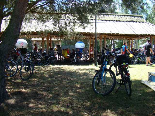 Piotr Niewiarowski, Piotr Niewiarowski jr