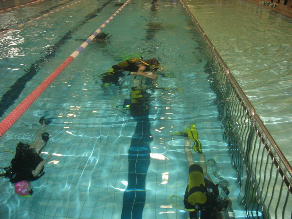 pletwonurkowie akwawit leszno - Akwawit Leszno