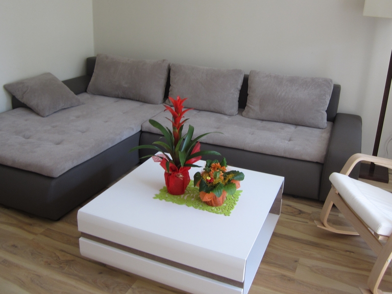 Aleksandra Włodarczyk