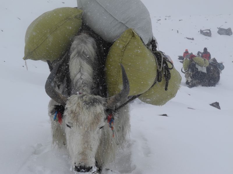 Bartłomiej Wróblewski