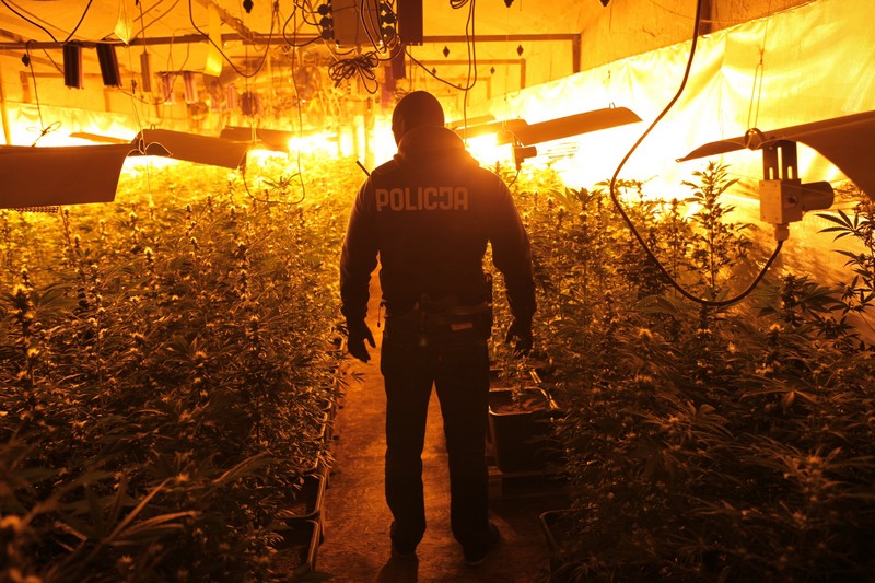 8_plantacja_bunkier - Wielkopolska Policja