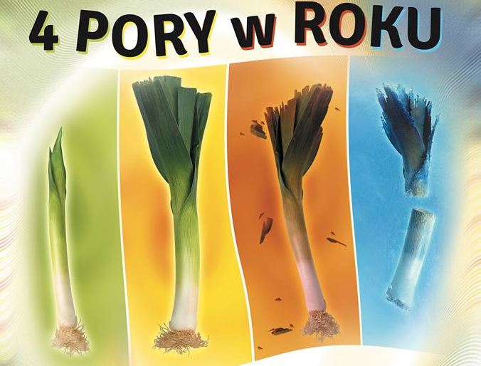 4 pory roku speaking - mat. prasowe