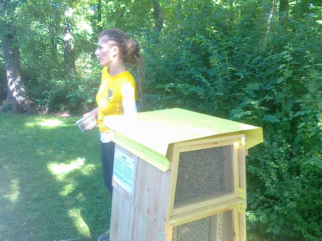 hotel dla pszczol greenpeace - Jacek Kosiak