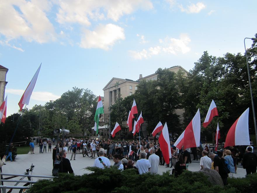 protest 5 - Anna Skoczek 