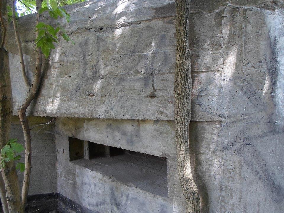 bunkier milosnicy historii wojen - Miłośnicy Historii Wojen