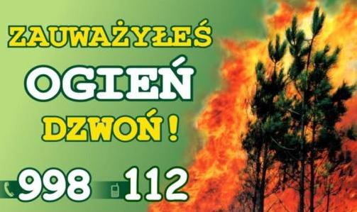 tablica alarmowa pożar w lesie