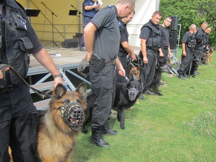 kynologiczne mistrzostwa wielkopolski psy1 - Adam Michakiewicz