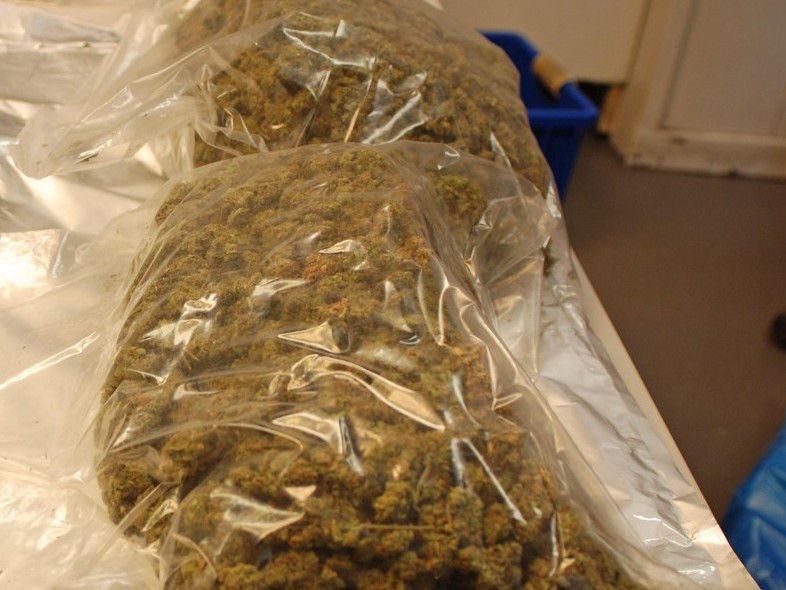 wielkie paczki z marihuana - Policja/Poznań