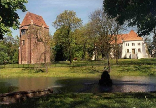 Zamek Górków w Szamotułach - Zamek Górków w Szamotułach