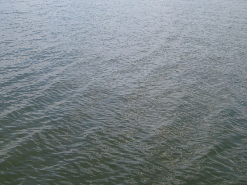 motorowka na jeziorze kierskim (4) - Jacek Butlewski