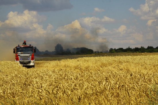 pozar pola zboza jaraczewo1 - Straż Pożarna Piła