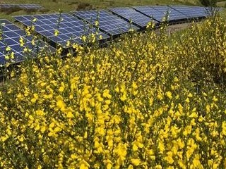 mikroinstalacja - Greenpeace Polska