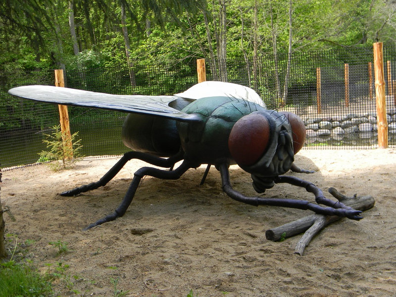 mucha owadogigant - Park Owadogigant