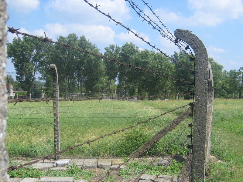 obóz w Żabikowie (19) - Jacek Butlewski