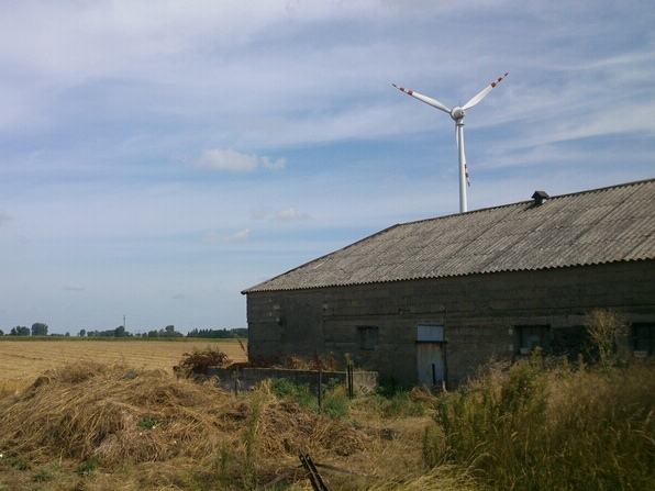 wiatrakli w kleczewie - Emilia Chudzińska