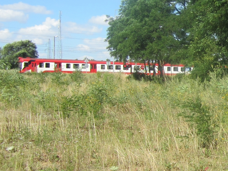 pociag jedzie latem - Adam Michalkiewicz