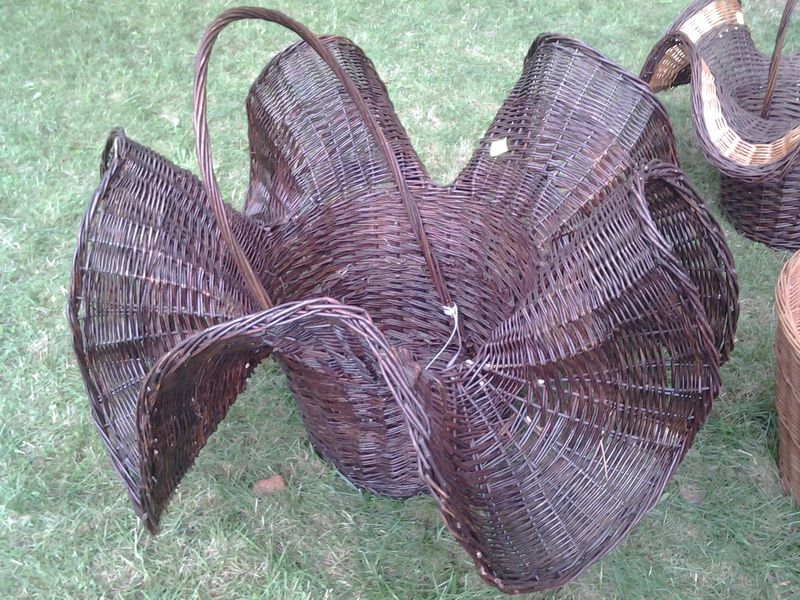 Małgorzata Rybczyńska