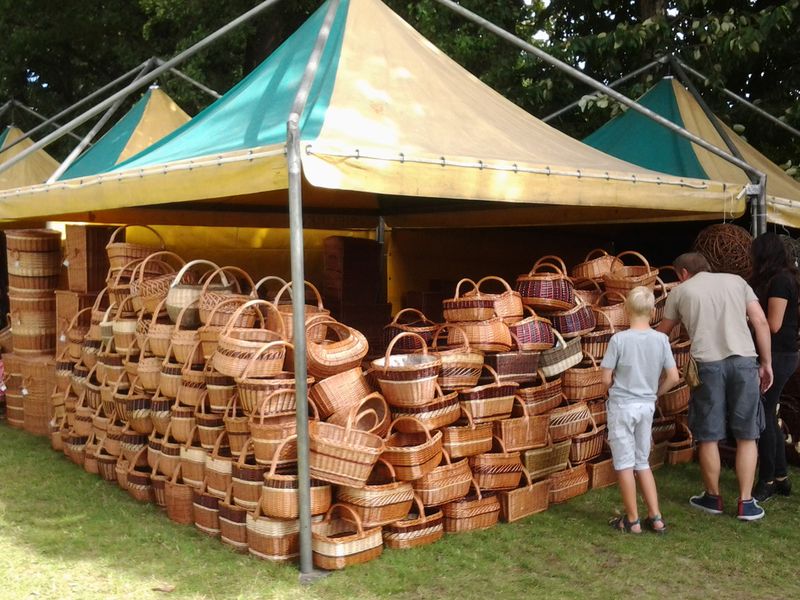 Małgorzata Rybczyńska