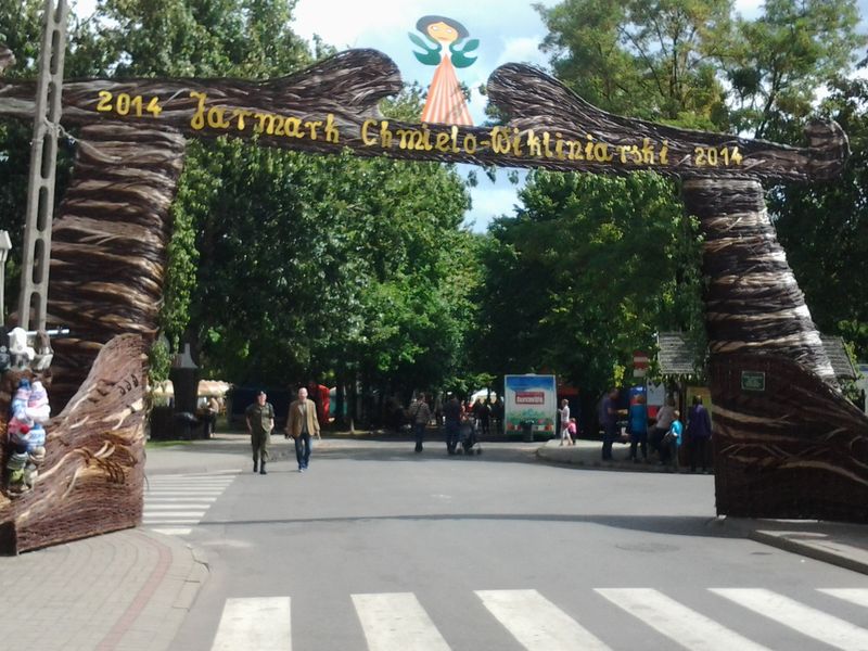 wiklinowy nowy tomysl4 - Małgorzata Rybczyńska