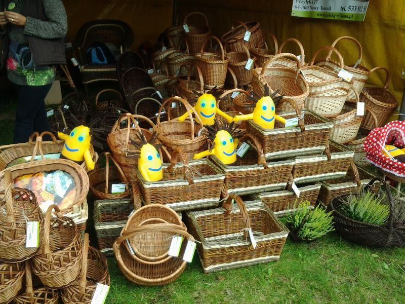 Małgorzata Rybczyńska