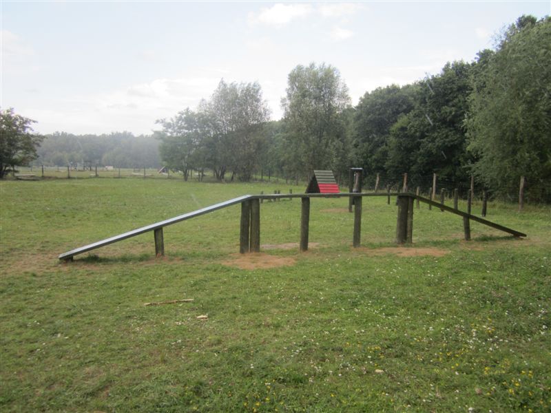 kładka dla psów - Adam Michalkiewicz