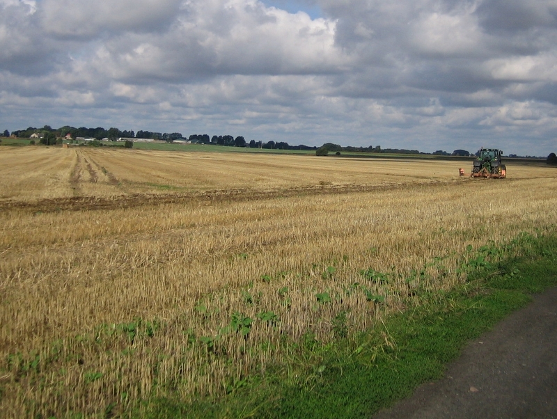 pole pod gnieznem ciągnik - Rafał Muniak