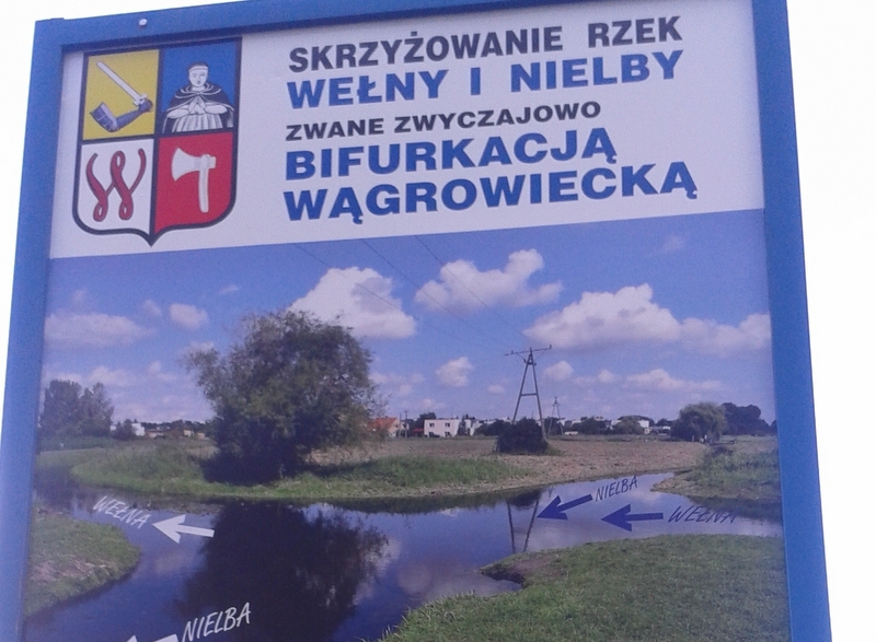 skrzyzowanie rzek nielby i wełny - Tomasz Sosnowski