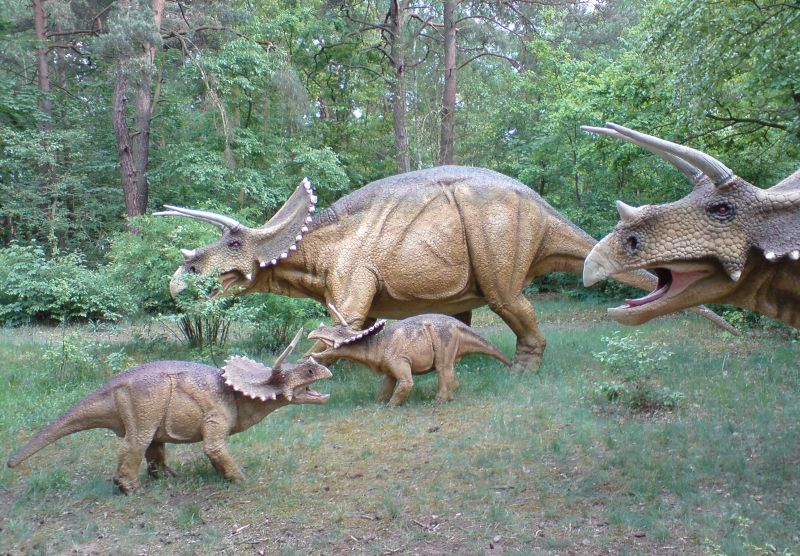 dinozaury - Materiały Pangea Investmen