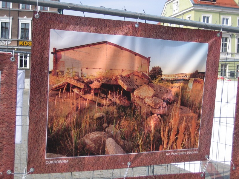 smutna wystawa gniezno - Rafał Muniak